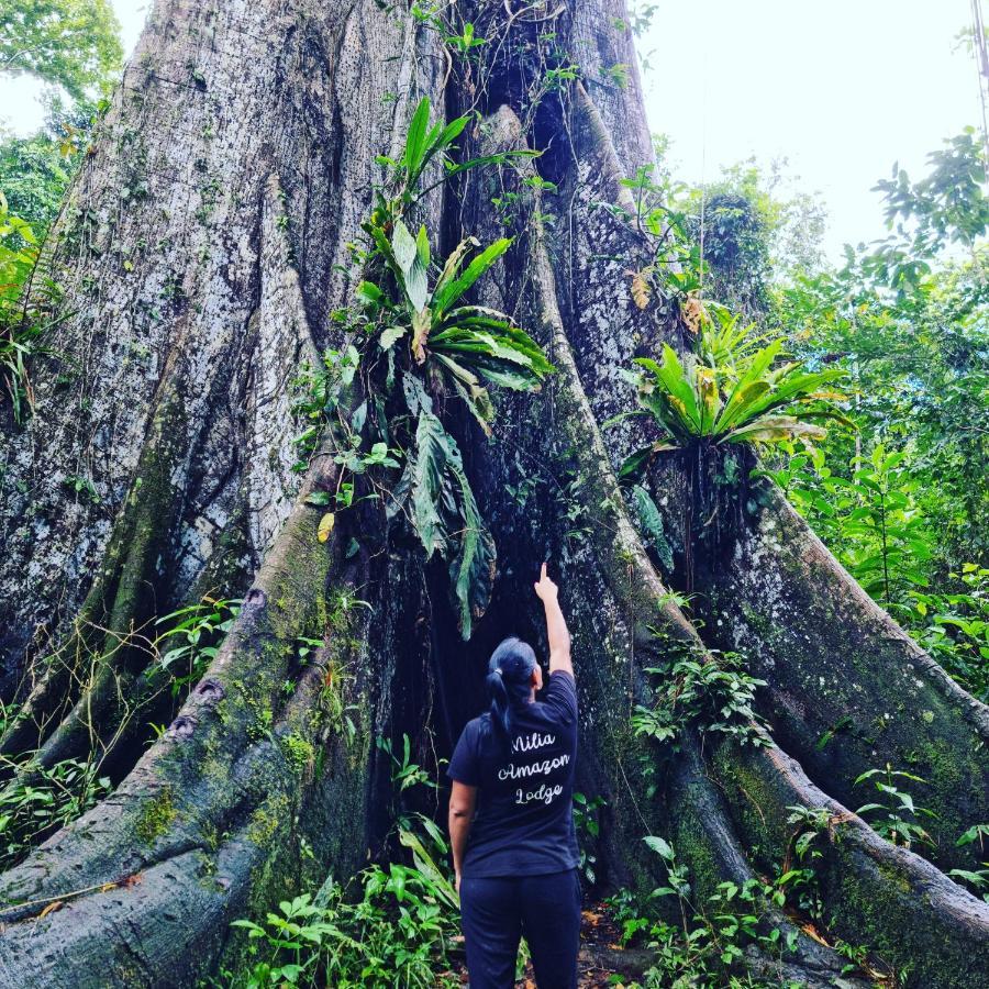 Milia Amazon Lodge Iquitos Exterior photo