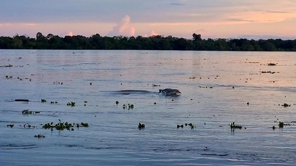 Milia Amazon Lodge Iquitos Exterior photo